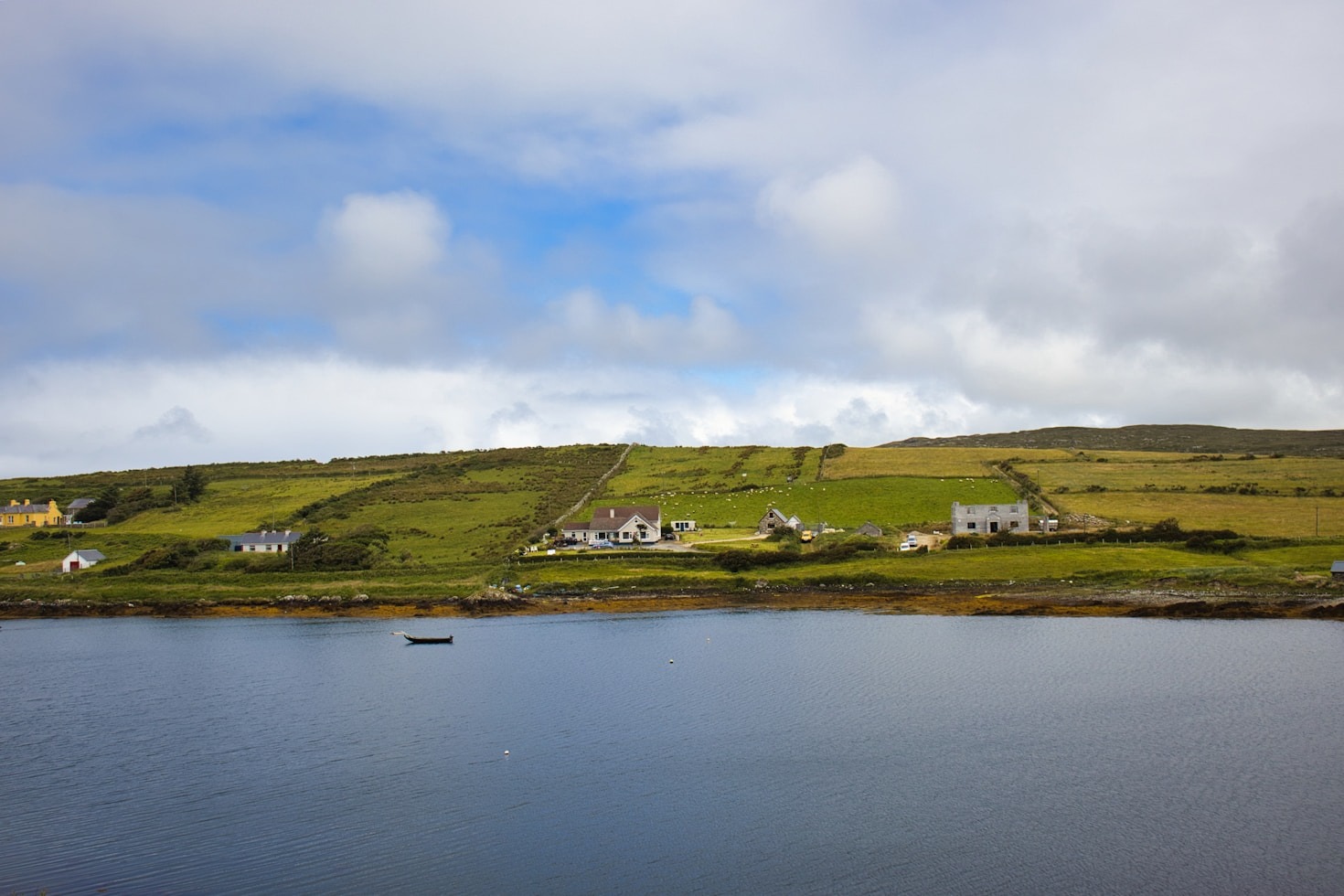 How to Use Sale Data to Predict Market Trends